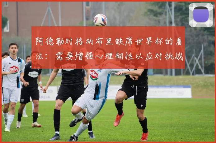 阿德勒对格纳布里缺席世界杯的看法：需要增强心理韧性以应对挑战