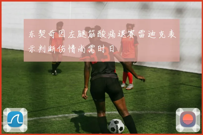 东契奇因左腿筋酸痛退赛雷迪克表示判断伤情尚需时日